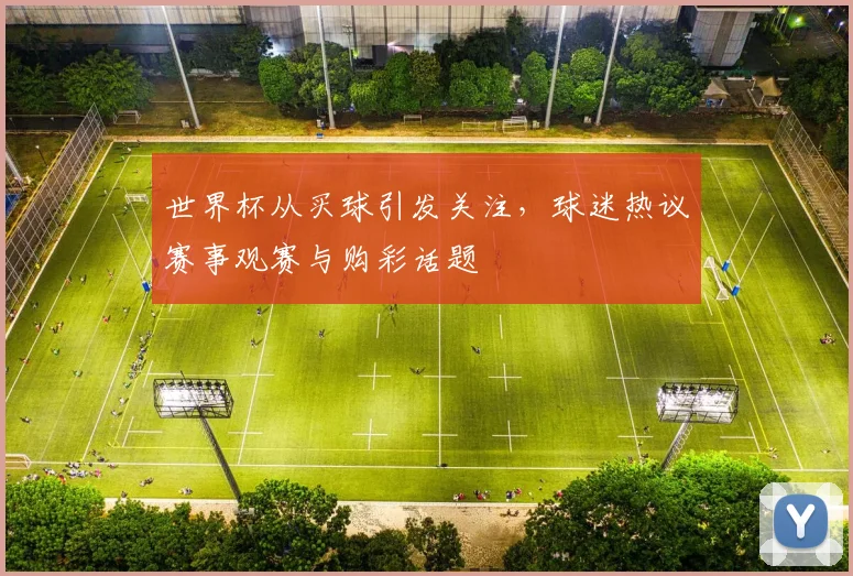 世界杯从买球引发关注,球迷热议赛事观赛与购彩话题