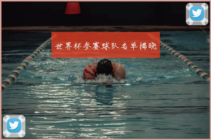 世界杯参赛球队名单揭晓